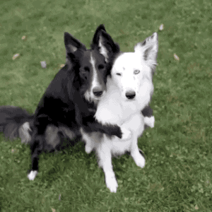 A hug for subscribing to The Receptionist!